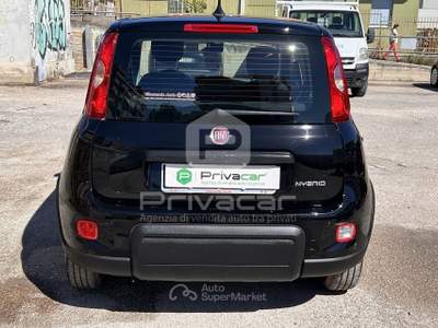 Fiat Panda FIAT Panda 1.0 FireFly S&S Hybrid Nero usata Montesilvano