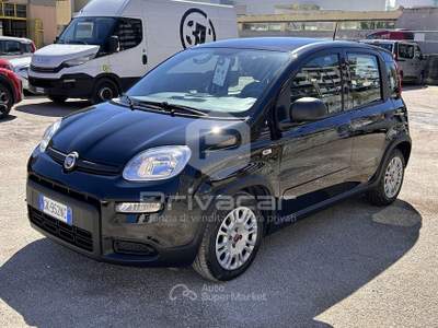 Fiat Panda FIAT Panda 1.0 FireFly S&S Hybrid Nero usata Montesilvano