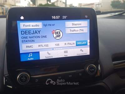Ford EcoSport Ecoblue 100 CV Start&Stop Titanium Grigio usata Massafra