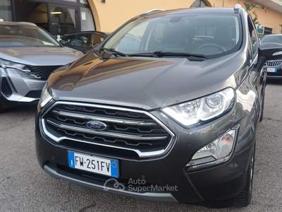 Ford EcoSport Ecoblue 100 CV Start&Stop Titanium Grigio usata Massafra