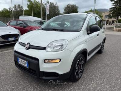 Fiat Panda 1.0 FireFly S&S Hybrid City Life Bianco usata Pignataro Maggiore