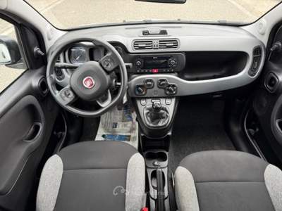 Fiat Panda 1.0 FireFly S&S Hybrid City Life Bianco usata Pignataro Maggiore