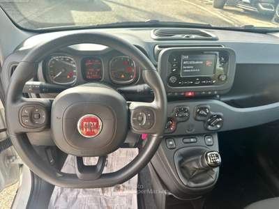 Fiat Panda 1.0 FireFly S&S Hybrid Bianco usata Pignataro Maggiore