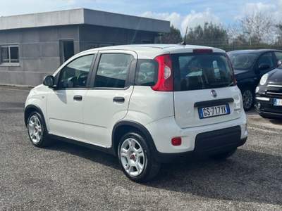 Fiat Panda 1.0 FireFly S&S Hybrid Bianco usata Pignataro Maggiore