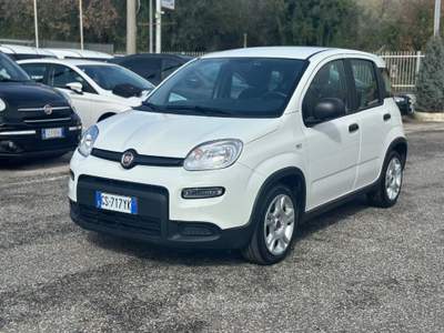 Fiat Panda 1.0 FireFly S&S Hybrid Bianco usata Pignataro Maggiore