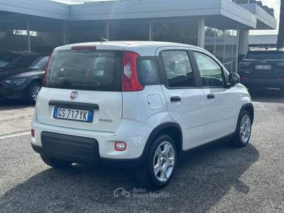 Fiat Panda 1.0 FireFly S&S Hybrid Bianco usata Pignataro Maggiore