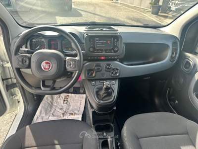 Fiat Panda 1.0 FireFly S&S Hybrid Bianco usata Pignataro Maggiore