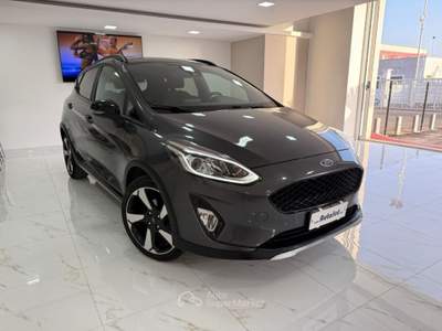 Ford Fiesta 1.0 Ecoboost Hybrid 125 CV 5 porte Active Grigio usata MASSAFRA