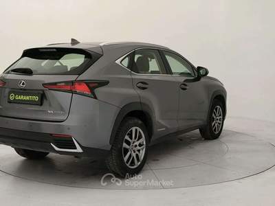 Lexus NX 197cv Grigio usata Torino