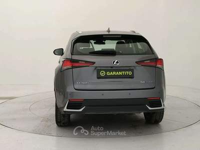 Lexus NX 197cv Grigio usata Torino