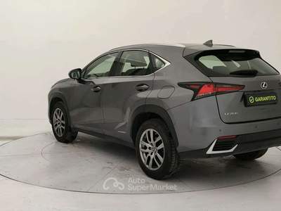 Lexus NX 197cv Grigio usata Torino