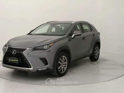 Lexus NX 197cv Grigio usata Torino