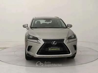 Lexus NX 300h 2.5 Premium 4wd cvt Grigio usata Torino