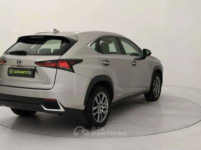 Lexus NX 300h 2.5 Premium 4wd cvt Grigio usata Torino