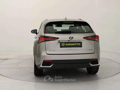 Lexus NX 300h 2.5 Premium 4wd cvt Grigio usata Torino