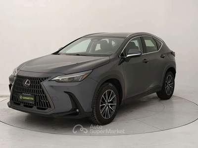 Lexus NX 350h 2.5 Business 2wd 244cv e-cvt Grigio usata Torino