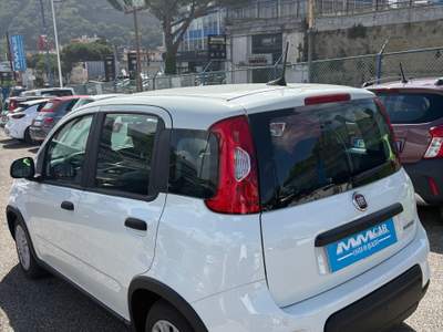Fiat Panda Fiat Panda 1.0 Fire Fly Hybrid Bianco usata Pozzuoli