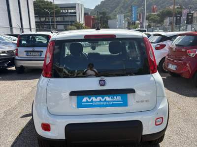 Fiat Panda Fiat Panda 1.0 Fire Fly Hybrid Bianco usata Pozzuoli