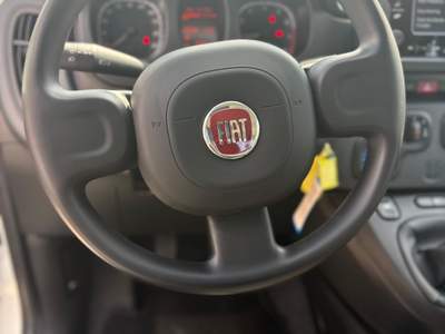 Fiat Panda Fiat Panda 1.0 Fire Fly Hybrid Bianco usata Pozzuoli
