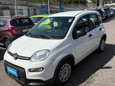 Fiat Panda Fiat Panda 1.0 Fire Fly Hybrid Bianco usata Pozzuoli
