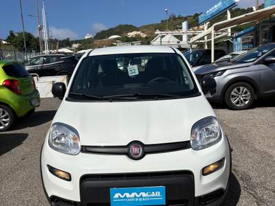 Fiat Panda Fiat Panda 1.0 Fire Fly Hybrid Bianco usata Pozzuoli