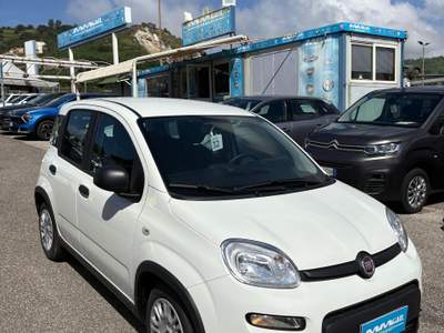 Fiat Panda Fiat Panda 1.0 Fire Fly Hybrid Bianco usata Pozzuoli