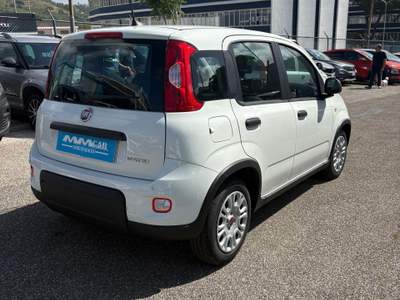 Fiat Panda Fiat Panda 1.0 Fire Fly Hybrid Bianco usata Pozzuoli