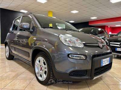 Fiat Panda 1.0 FireFly S&S Hybrid PREZZO + IVA - UNIPRO Grigio usata Bozzolo