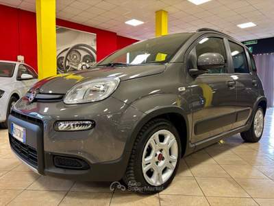 Fiat Panda 1.0 FireFly S&S Hybrid PREZZO + IVA - UNIPRO Grigio usata Bozzolo