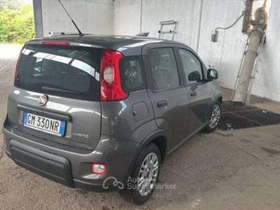 Fiat Panda Panda NEOPATENTATI  1.0 firefly hybrid TG : GM330N Grigio usata Basiliano
