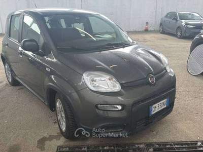 Fiat Panda Panda NEOPATENTATI  1.0 firefly hybrid TG : GM330N Grigio usata Basiliano