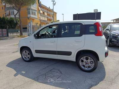 Fiat Panda 1.3 MJT 4x4 Easy Bianco usata Volla