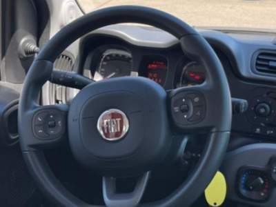 Fiat Panda 1.0 FireFly S&S Hybrid City Life Blu/Azzurro usata Novara