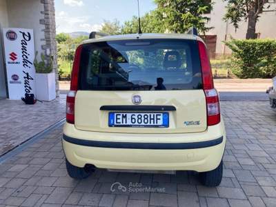 Fiat Panda 1.4 Natural Power Classic Giallo usata Cortona
