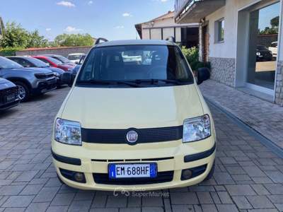 Fiat Panda 1.4 Natural Power Classic Giallo usata Cortona