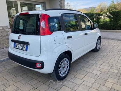 Fiat Panda 1.3 MJT S&S Easy Bianco usata Cortona