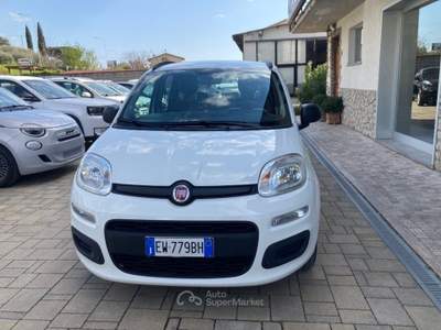 Fiat Panda 1.3 MJT S&S Easy Bianco usata Cortona