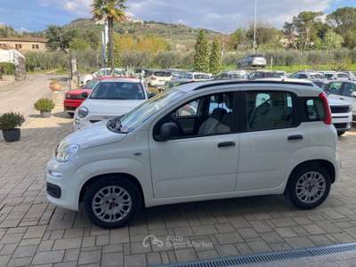 Fiat Panda 1.3 MJT S&S Easy Bianco usata Cortona