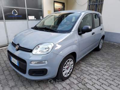Fiat Panda HYBRID Grigio usata PORTE