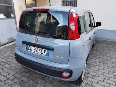 Fiat Panda HYBRID Grigio usata PORTE