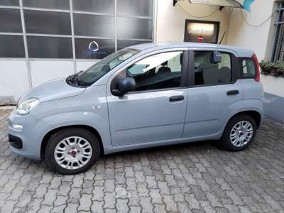 Fiat Panda HYBRID Grigio usata PORTE