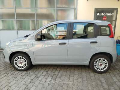 Fiat Panda 69CV EASY Grigio usata PORTE