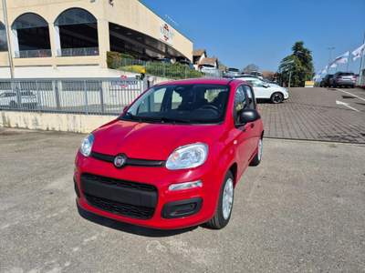 Fiat Pandina 1.0 FireFly 65 CV Hybrid Icon Rosso usata Medesano