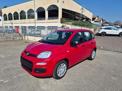 Fiat Pandina 1.0 FireFly 65 CV Hybrid Icon Rosso usata Medesano