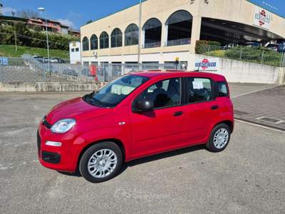 Fiat Pandina 1.0 FireFly 65 CV Hybrid Icon Rosso usata Medesano