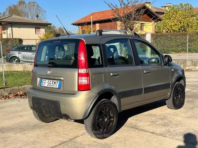 Fiat Panda 1.2 4x4 Climbing Marrone usata Dolo