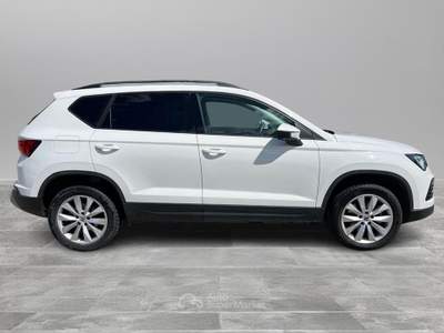 Seat Ateca Ateca 2.0 tdi business 150cv dsg usata Sarteano