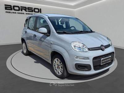 Fiat Panda  - panda 1.2 easy Grigio usata Treviso