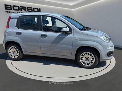 Fiat Panda  - panda 1.2 easy Grigio usata Treviso