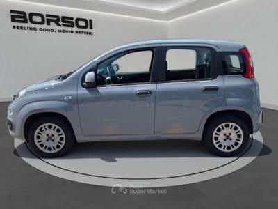 Fiat Panda  - panda 1.2 easy Grigio usata Treviso